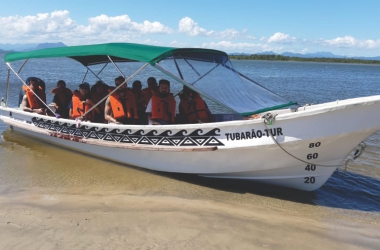 tubarao passeio 01