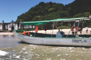 tubarao passeio 05
